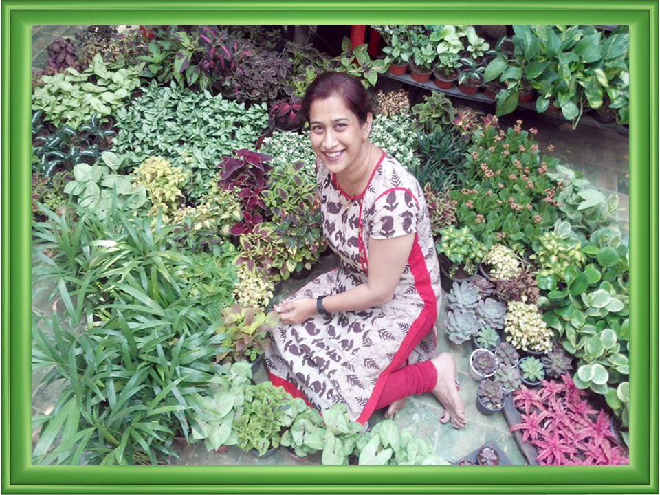 Green Zone Plant Nursery