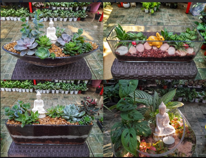 Terrariums